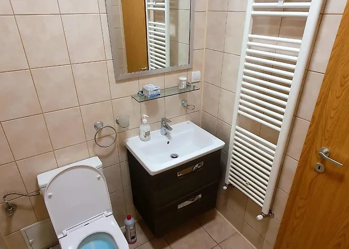 Apartment Centru Unirii Luxury Vip Apartment: Spacious 2-room With Heated Parking Bucharest