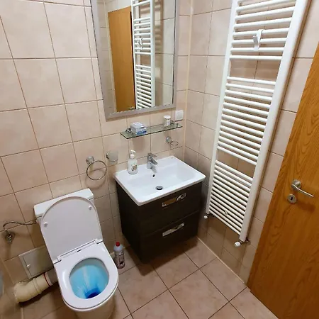 Apartament Centru Unirii Luxury Vip Apartament 2 70 Mp ! Parcare Subterana Privata Incalzita Iarna Si Climatizata Vara Doar Cu Rezervare In Limita Locurilor Disponibile ! Proprietate In Regim Hoteliep - Nu Are Bucatarie ! Bucureşti