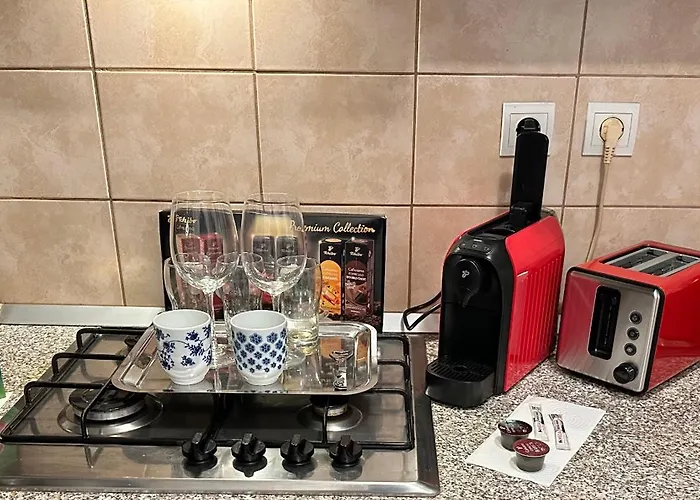 Apartman Centru Unirii Luxury Vip Apartament 2 98 Mp ! Parcare Subterana Privata Incalzita Iarna Si Climatizata Vara Doar Cu Rezervare In Limita Locurilor Disponibile ! Proprietate In Regim Hoteliep - Nu Are Bucatarie ! Bukarest